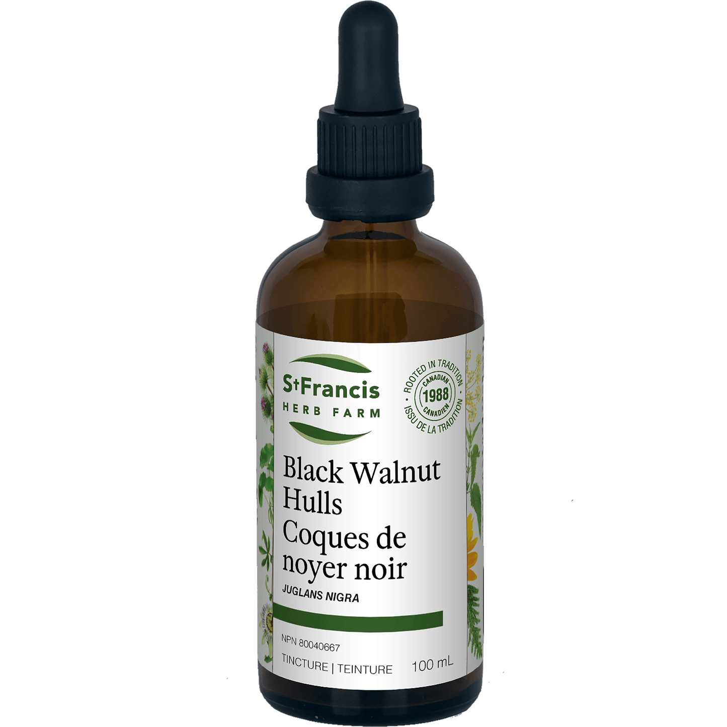 St. Francis Herb Farm - Black Walnut Hulls