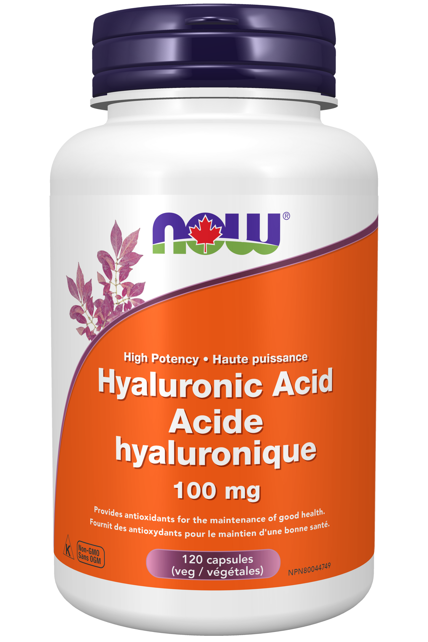 NOW - Hyaluronic Acid - 100 mg