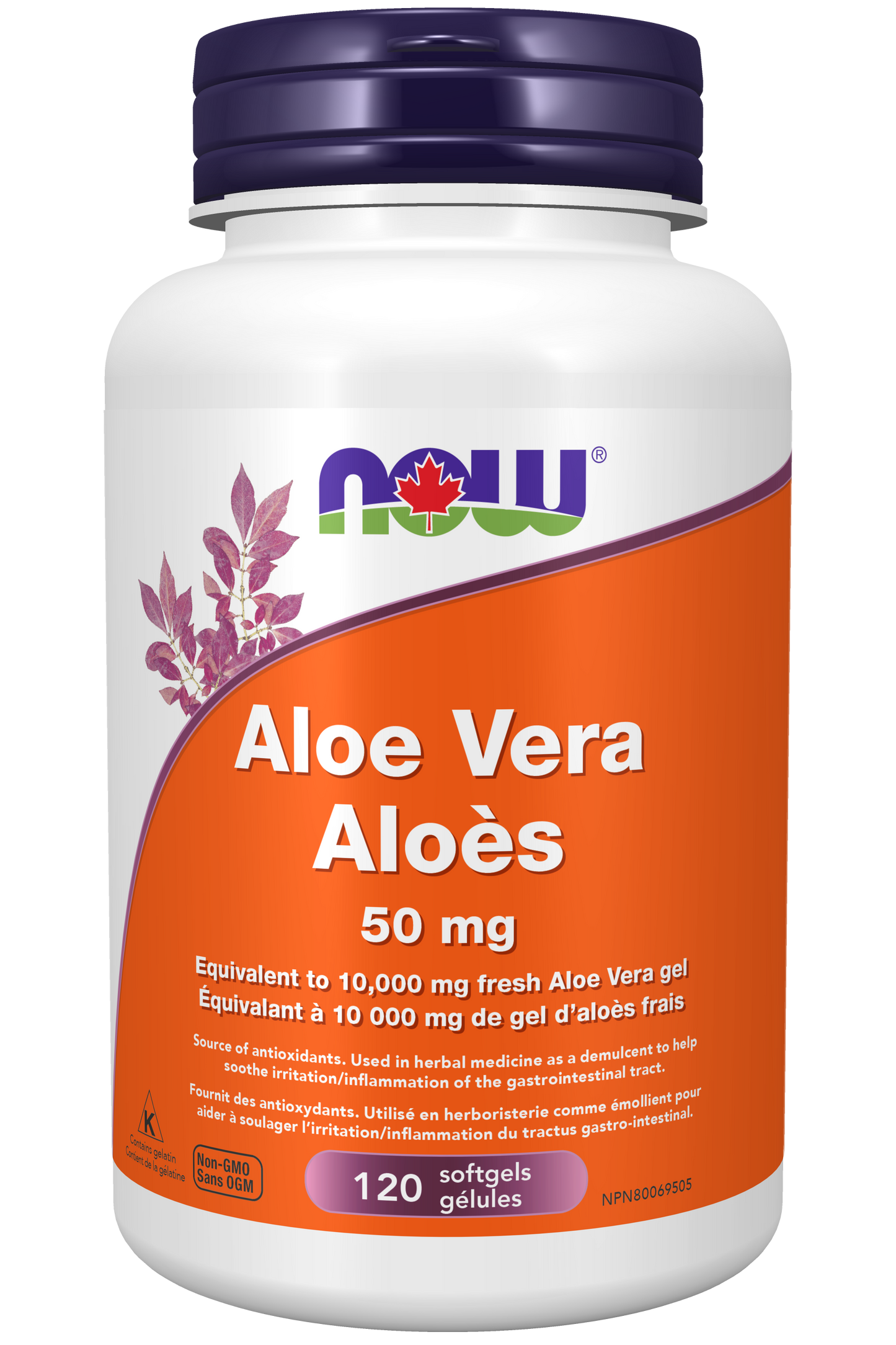 NOW - Aloe Vera