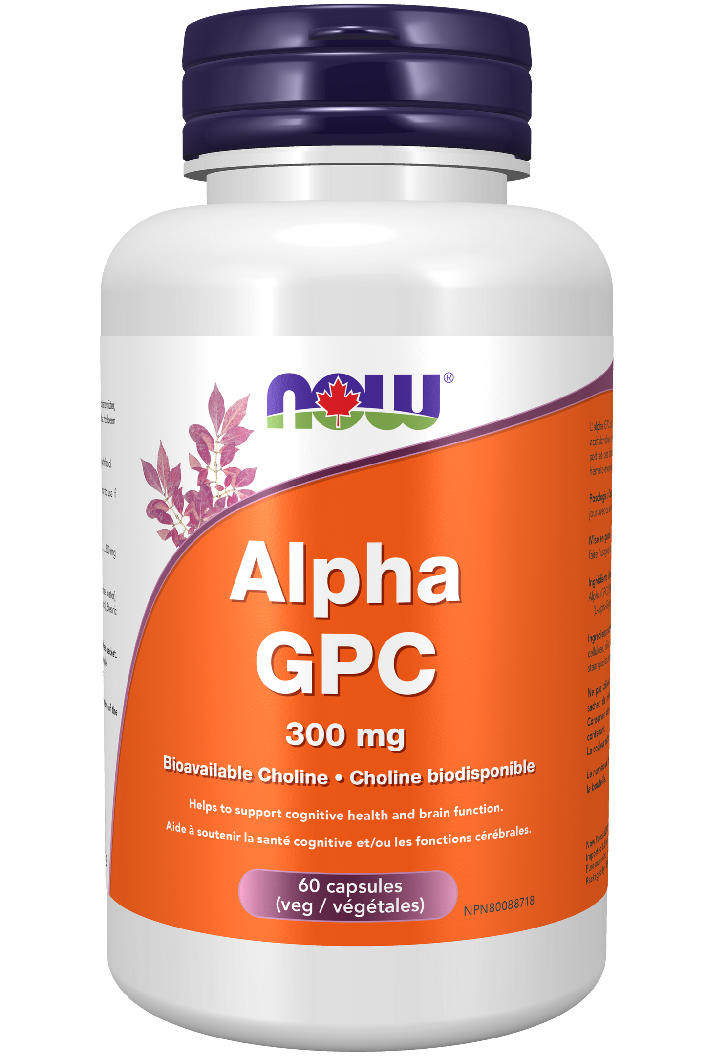 NOW - Alpha GPC