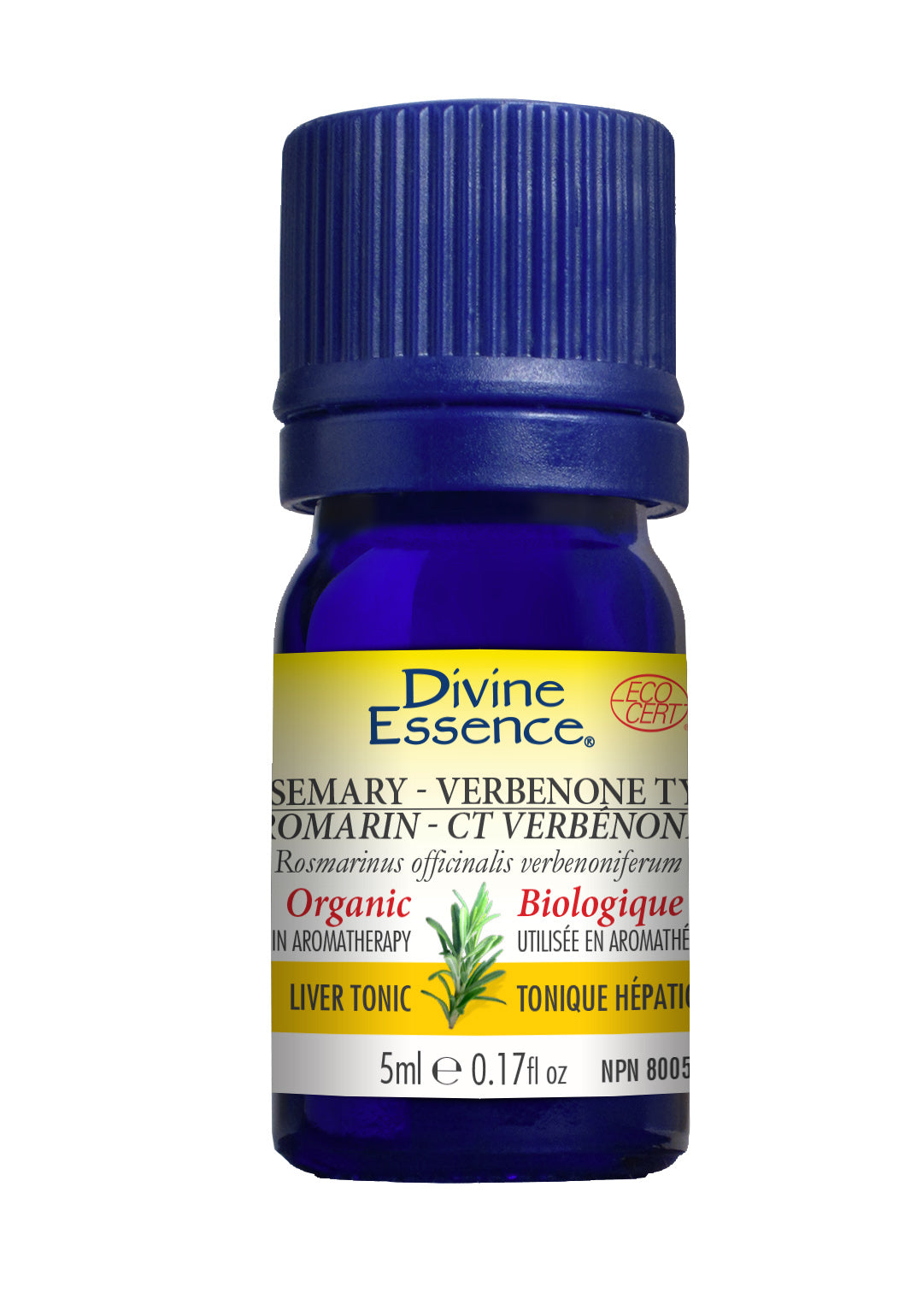 Divine Essence - Rosemary Verbenone Type