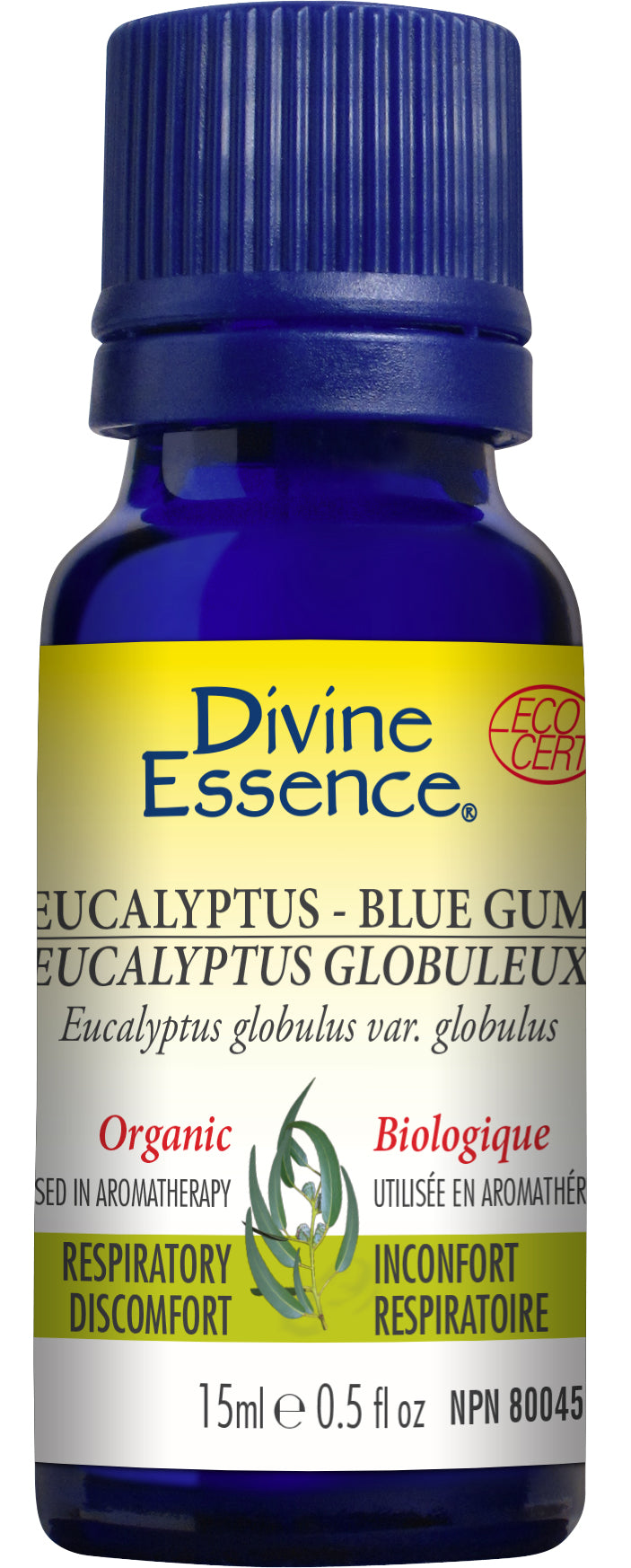 Divine Essence - Eucalyptus Blue Gum