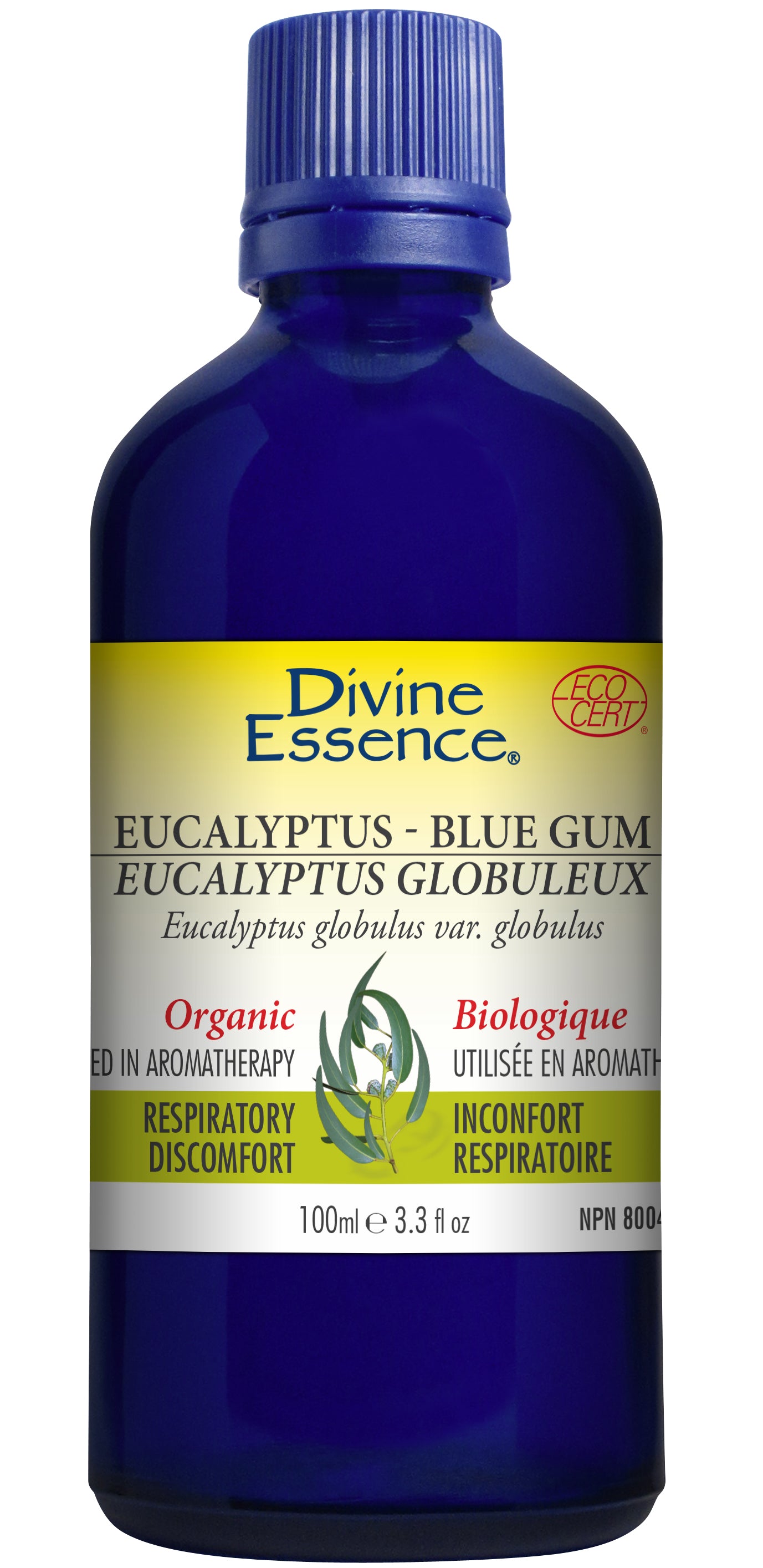 Divine Essence - Blue Gum Eucalyptus