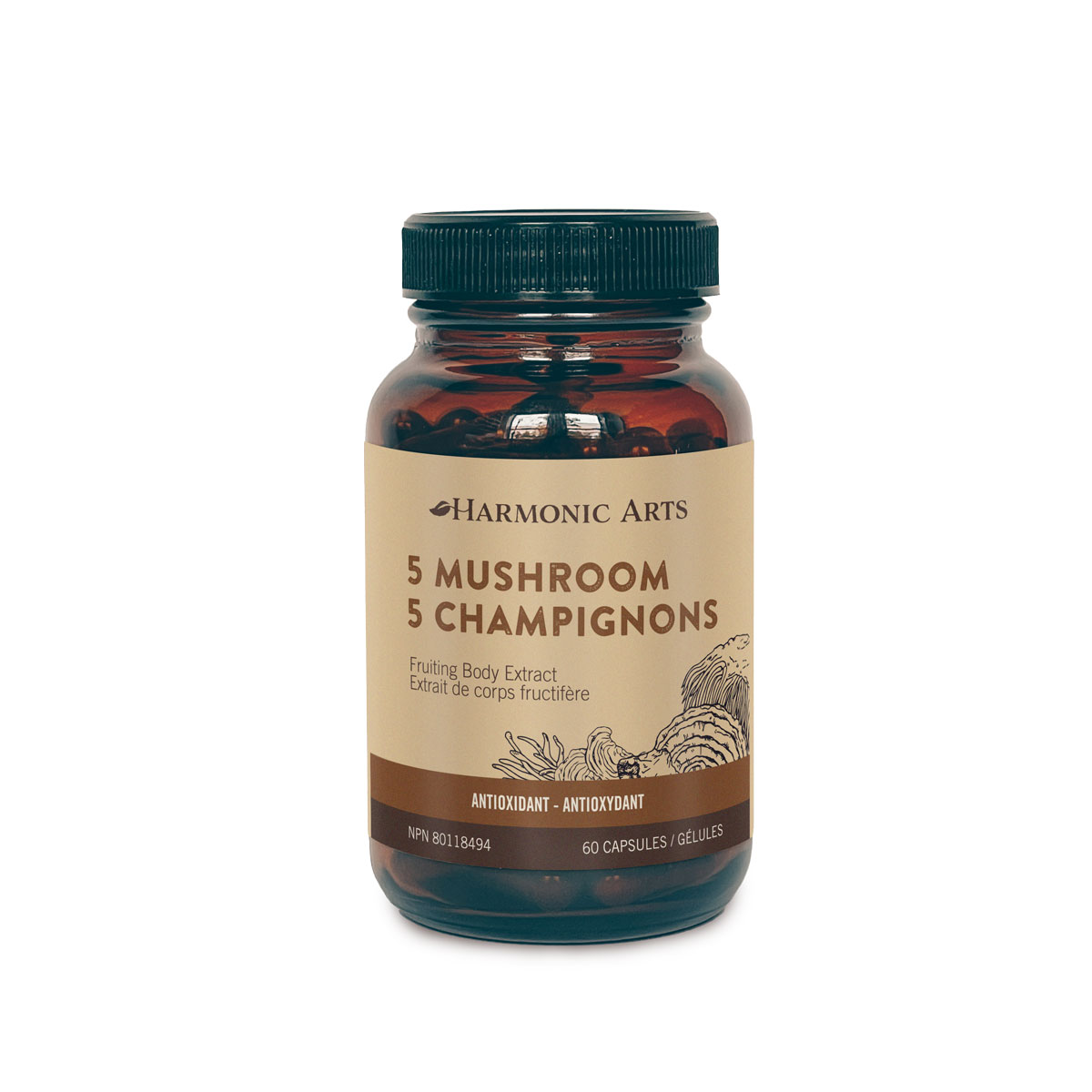 Harmonic Arts - 5 Mushroom