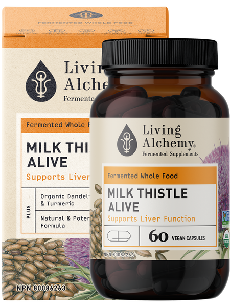 Living Alchemy - Milk Thistle Alive