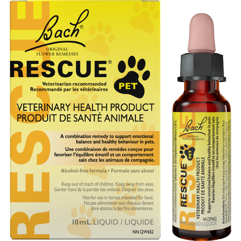 Bach - Rescue Pet