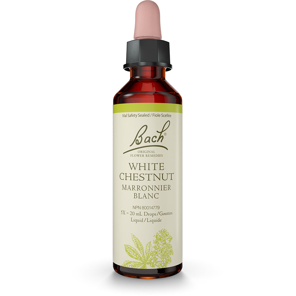 Bach - White Chestnut