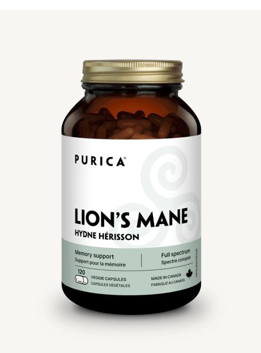 Purica - Lion's Mane