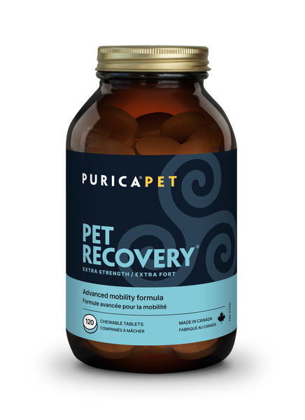 Thumbnail of Purica - Pet Recovery - Extra Strength