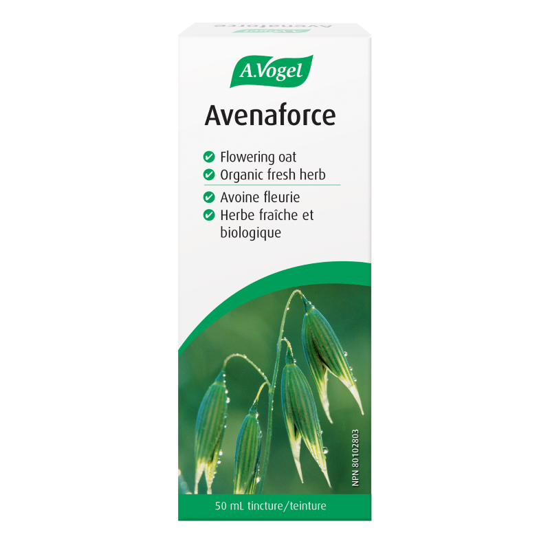 A Vogel - Avenaforce