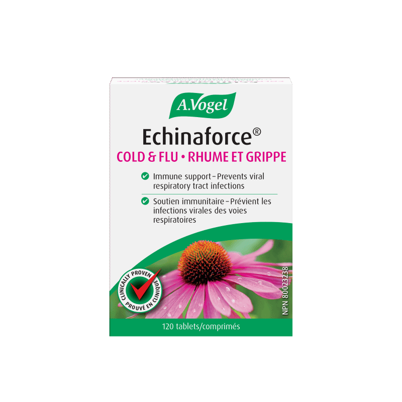A Vogel - Echinaforce