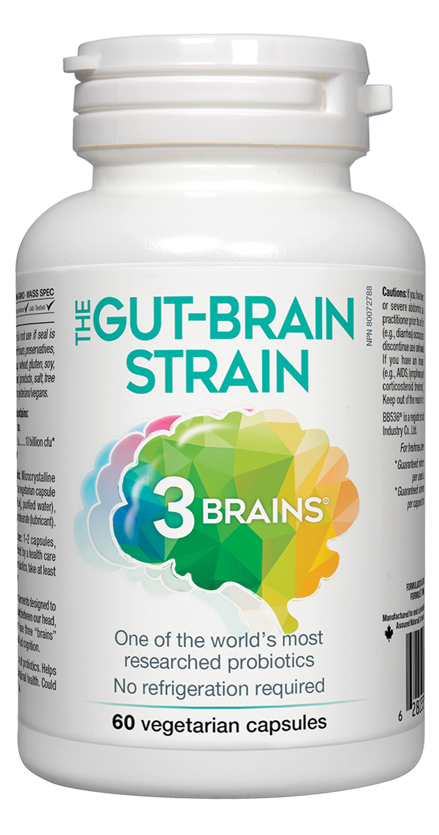 3 Brains - The Gut-Brain Strain