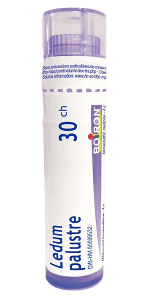 Boiron - Ledum Palustre 30ch