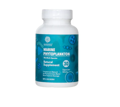 Marphyl - Marine Phytoplankton