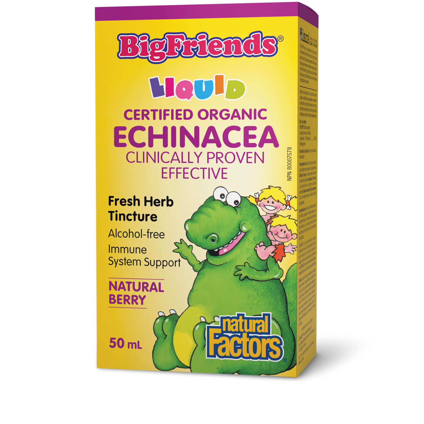 Natural Factors - Big Friends Liquid Echinacea Alcohol-Free - Natural Berry