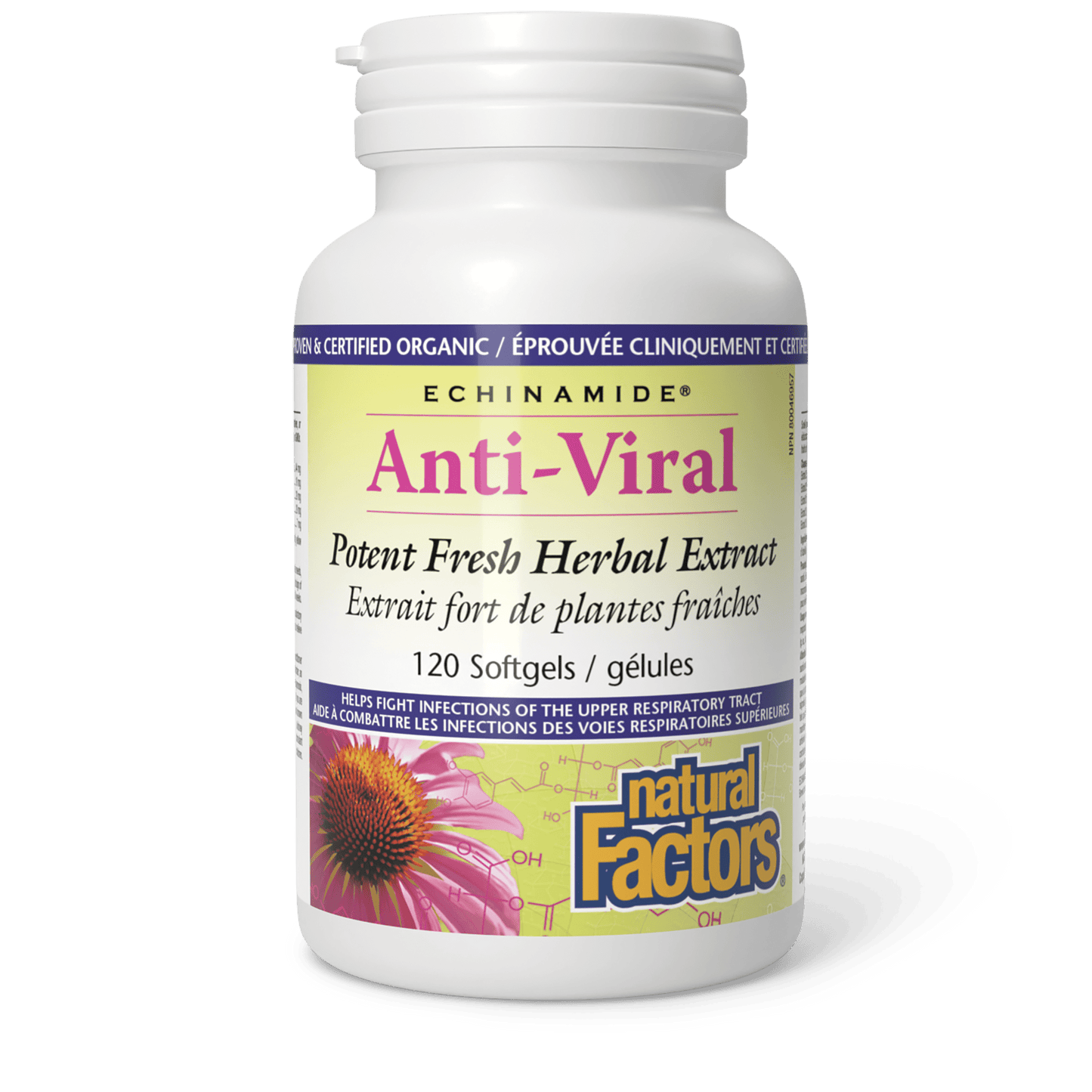 Natural Factors - Echinamide Anti-Viral