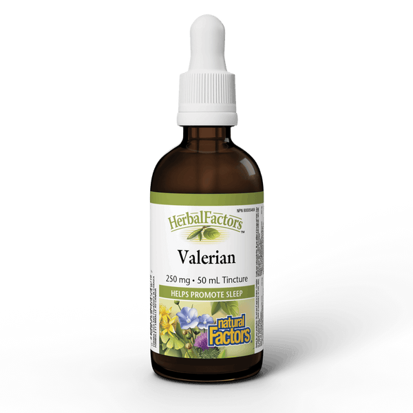 Natural Factors - Valerian