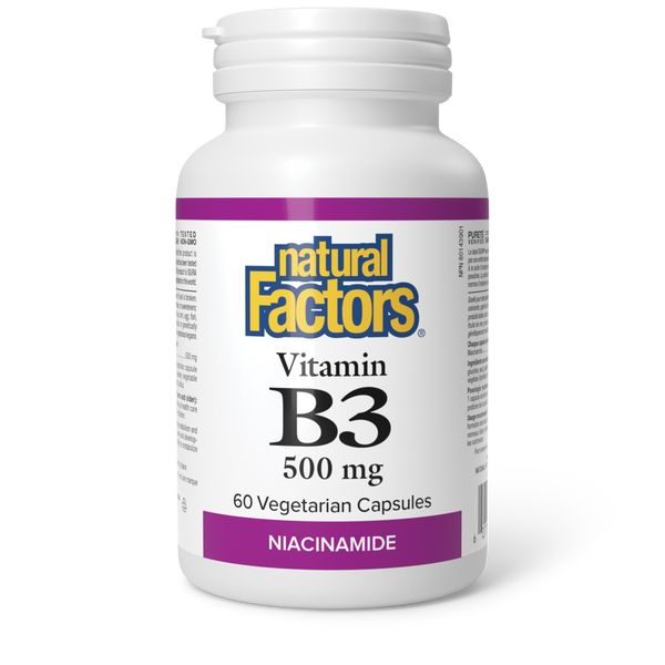 Natural Factors - Vitamin B3 Niacinamide - 500 mg