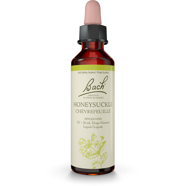 Bach - Honeysuckle