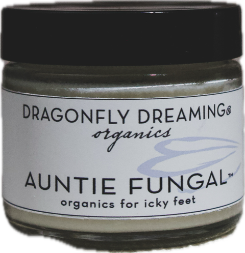 Dragonfly Dreaming - AUNTIE FUNGAL