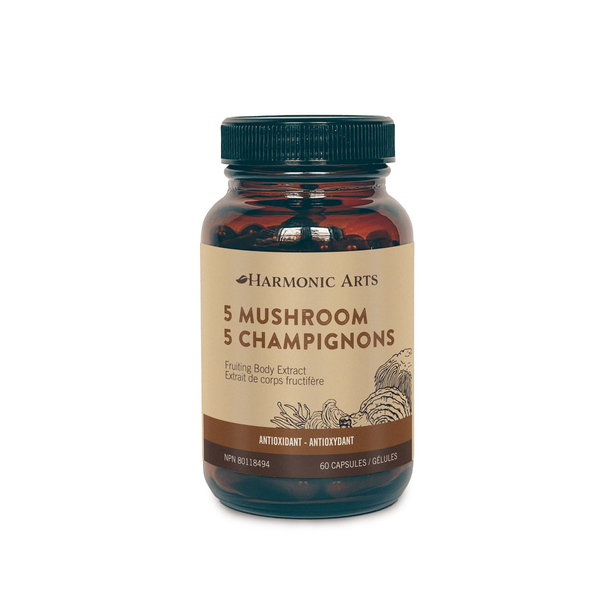 Harmonic Arts - 5 Mushroom