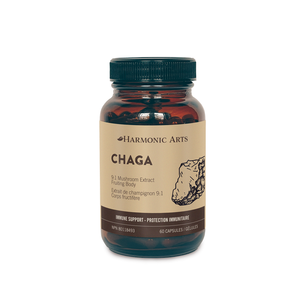 Harmonic Arts - Chaga