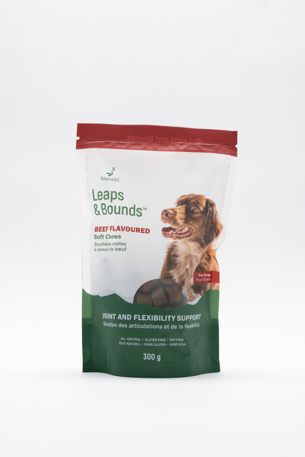 Sierra Sil - Leaps & Bounds Soft Chews for Dogs - Beef Flavoured