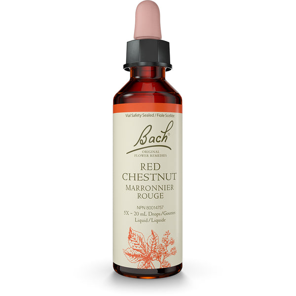 Bach - Red Chestnut
