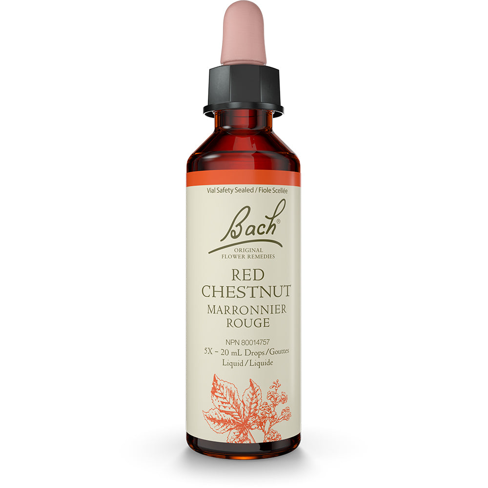 Bach - Red Chestnut