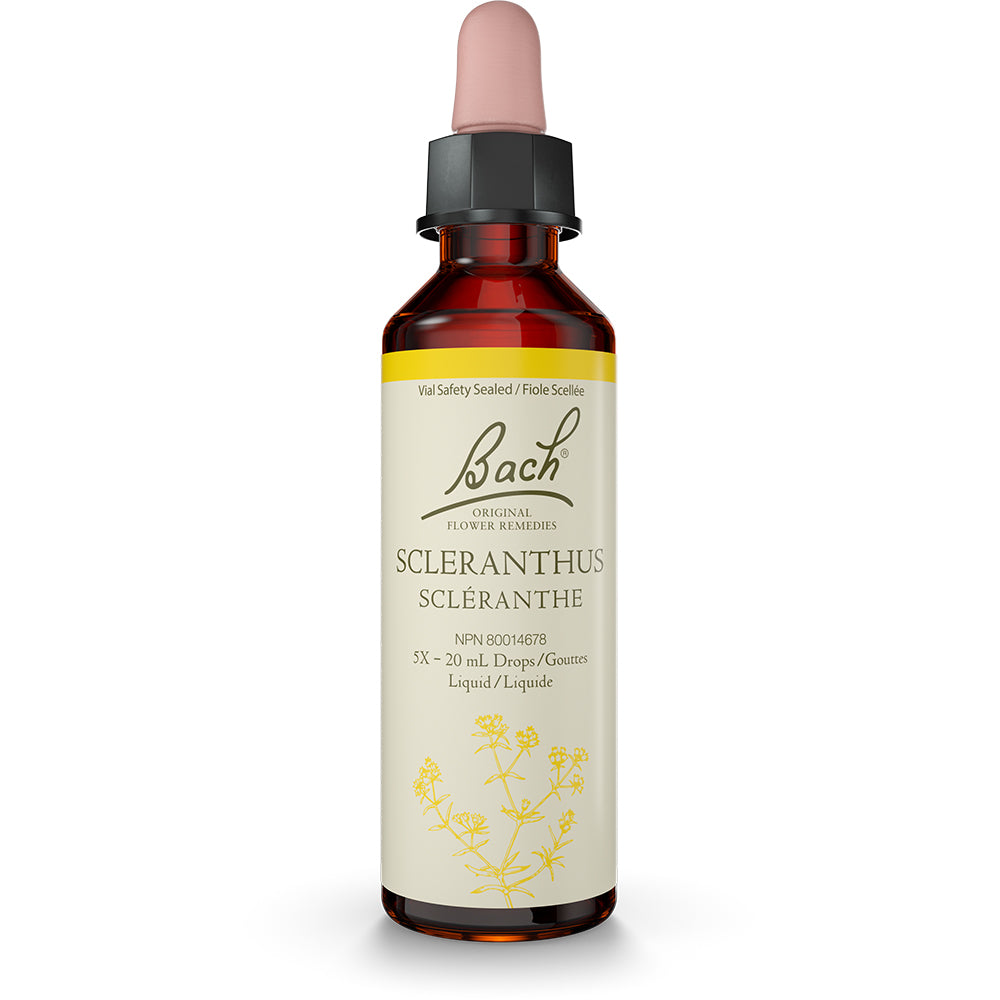 Bach - Scleranthus