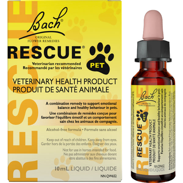 Bach - Rescue Pet