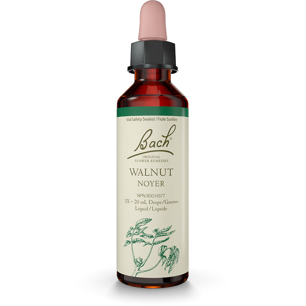 Bach - Walnut
