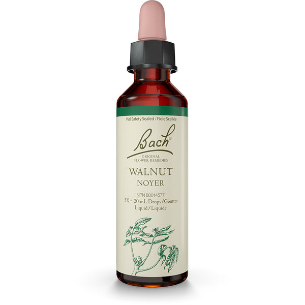 Bach - Walnut
