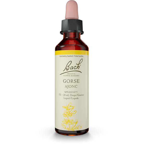 Bach - Gorse