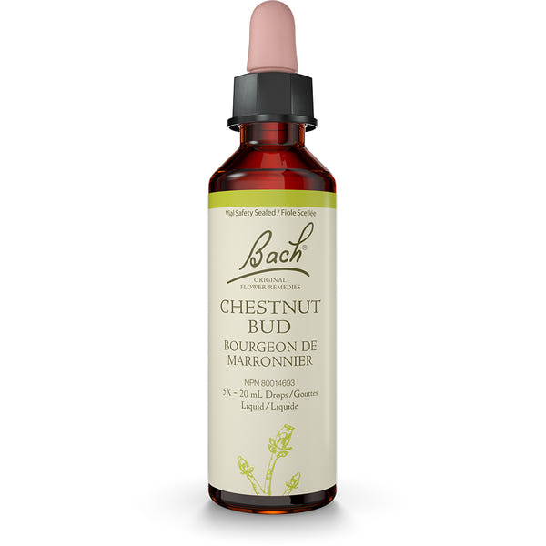 Bach - Chestnut Bud