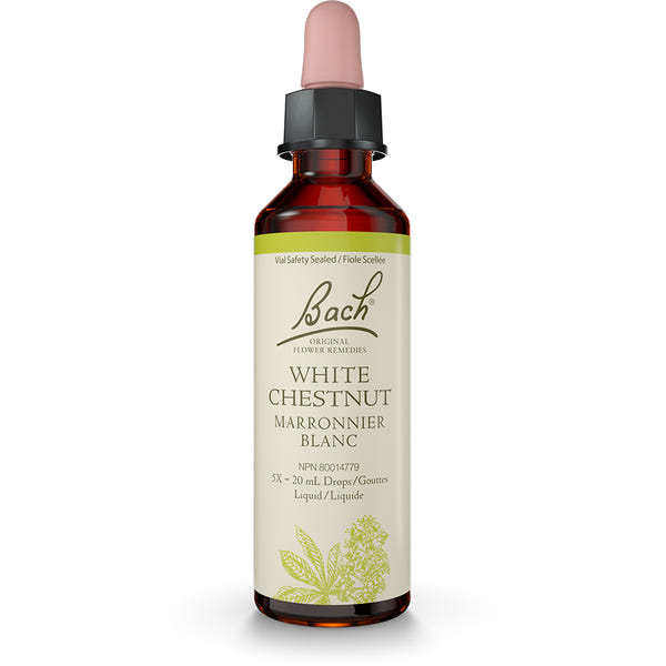 Bach - White Chestnut