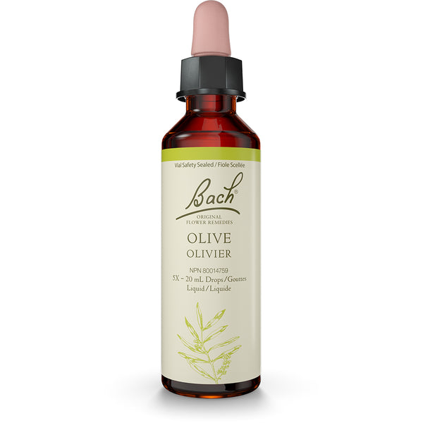 Bach - Olive