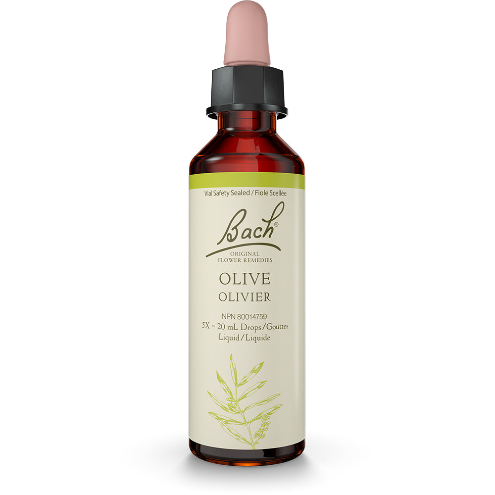 Bach - Olive