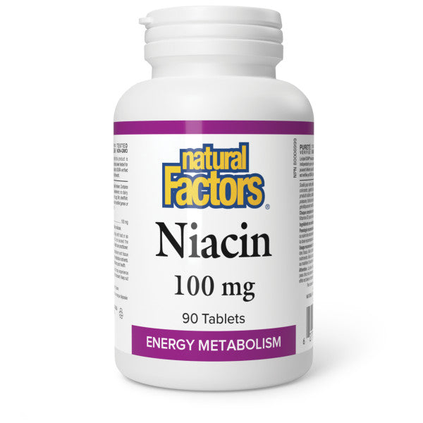 Natural Factors - Niacin (Vitamin B3 - 100 mg)