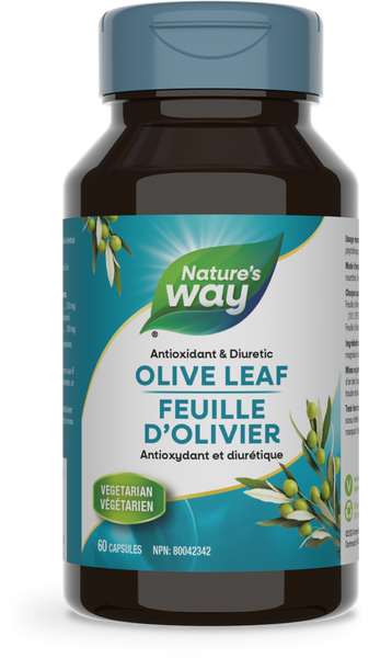Nature's Way - Olive Leaf