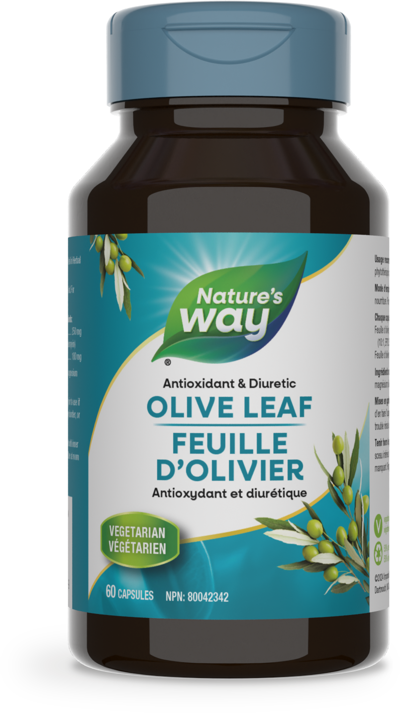 Nature's Way - Olive Leaf