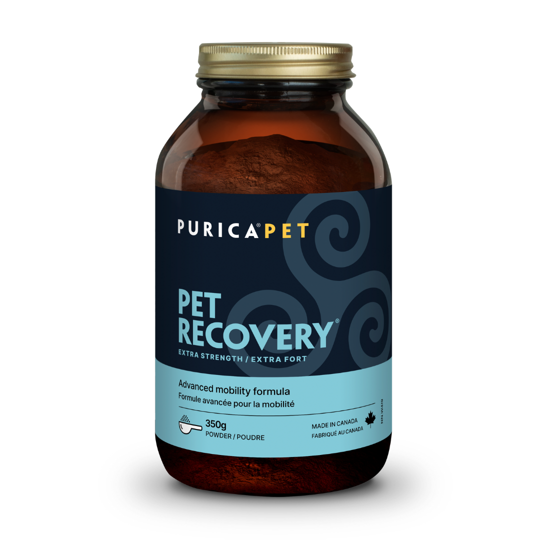 Purica - Pet Recovery - Extra Strength