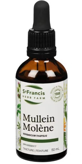 Thumbnail of St Francis - Mullein