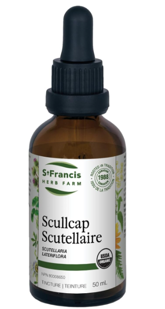 St Francis Herb Farm - Scullcap