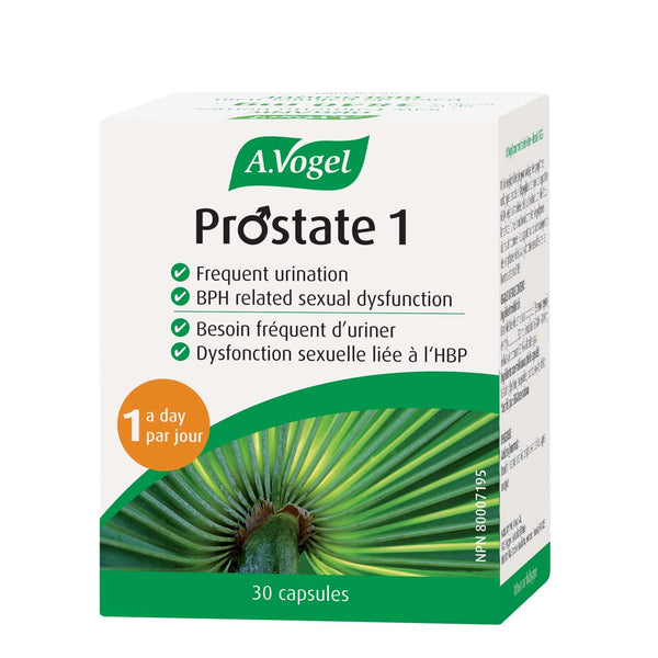 Thumbnail of A Vogel - Prostate 1