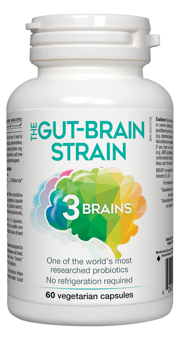 3 Brains - The Gut-Brain Strain