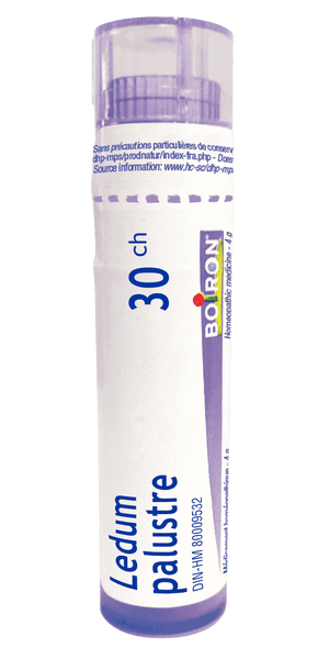 Boiron - Ledum Palustre 30ch