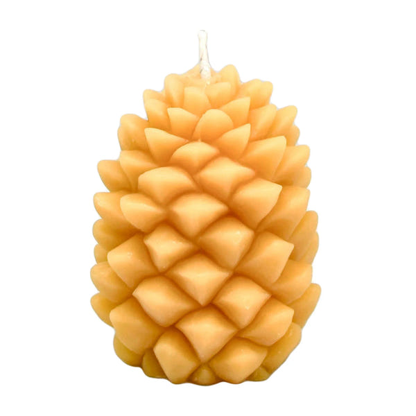 Honey Candles - Ponderosa Pine Cone Natural