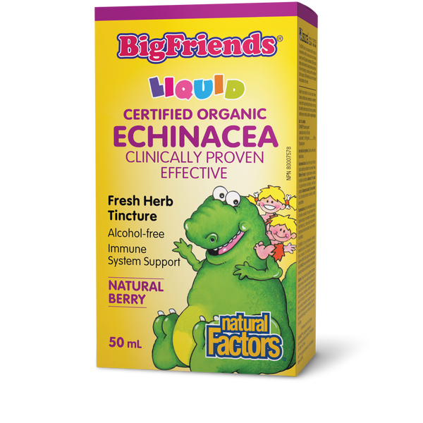 Natural Factors - Big Friends Liquid Echinacea Alcohol-Free - Natural Berry*