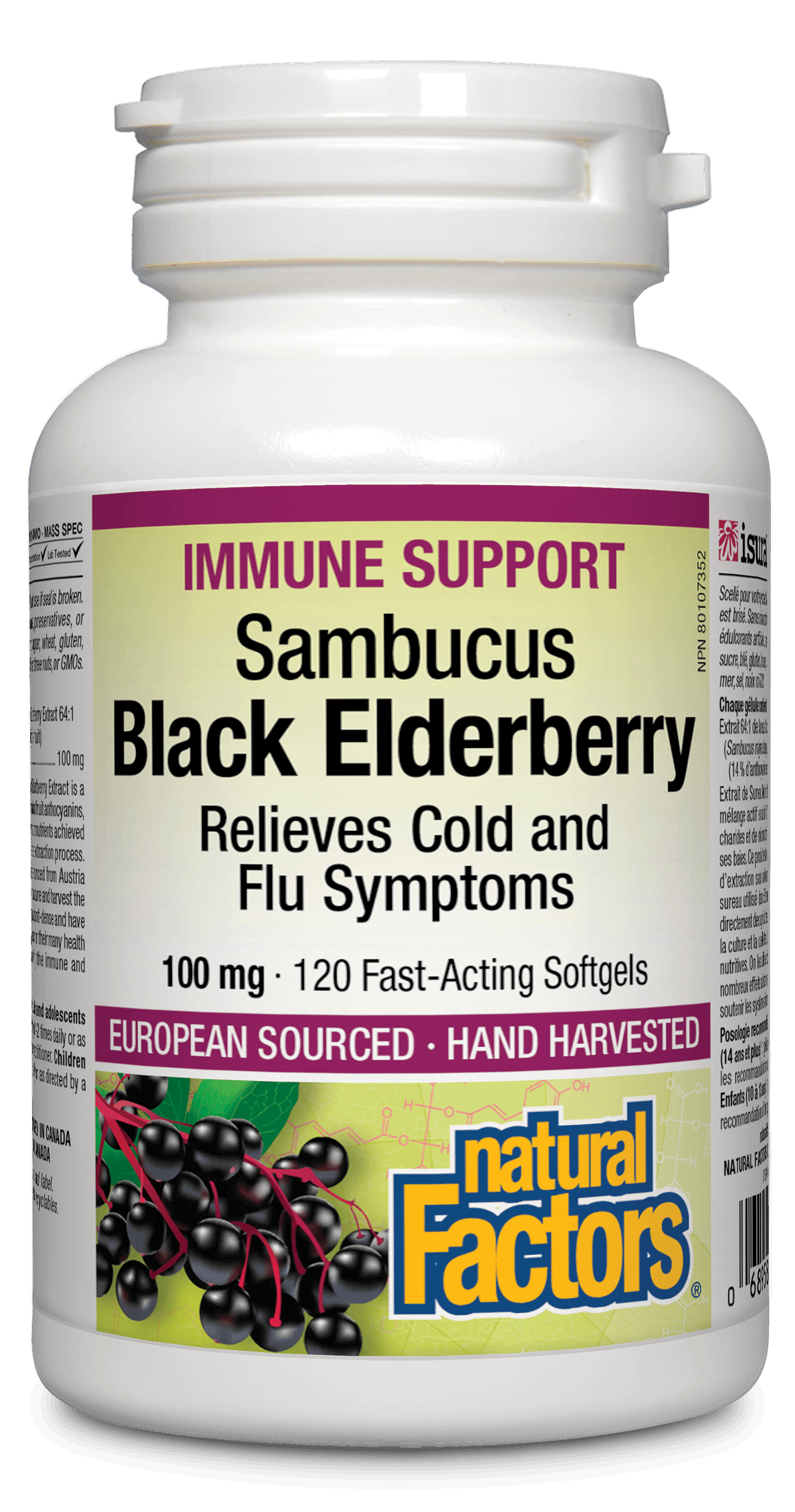 Natural Factors - Black Elderberry